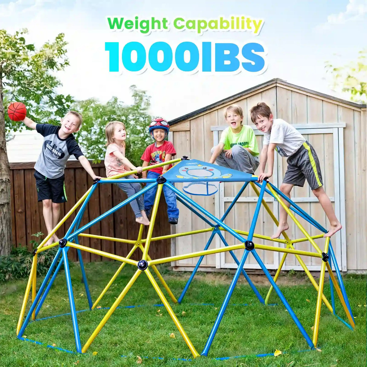 1000LBS New Upgraded Dome Climber 10FT