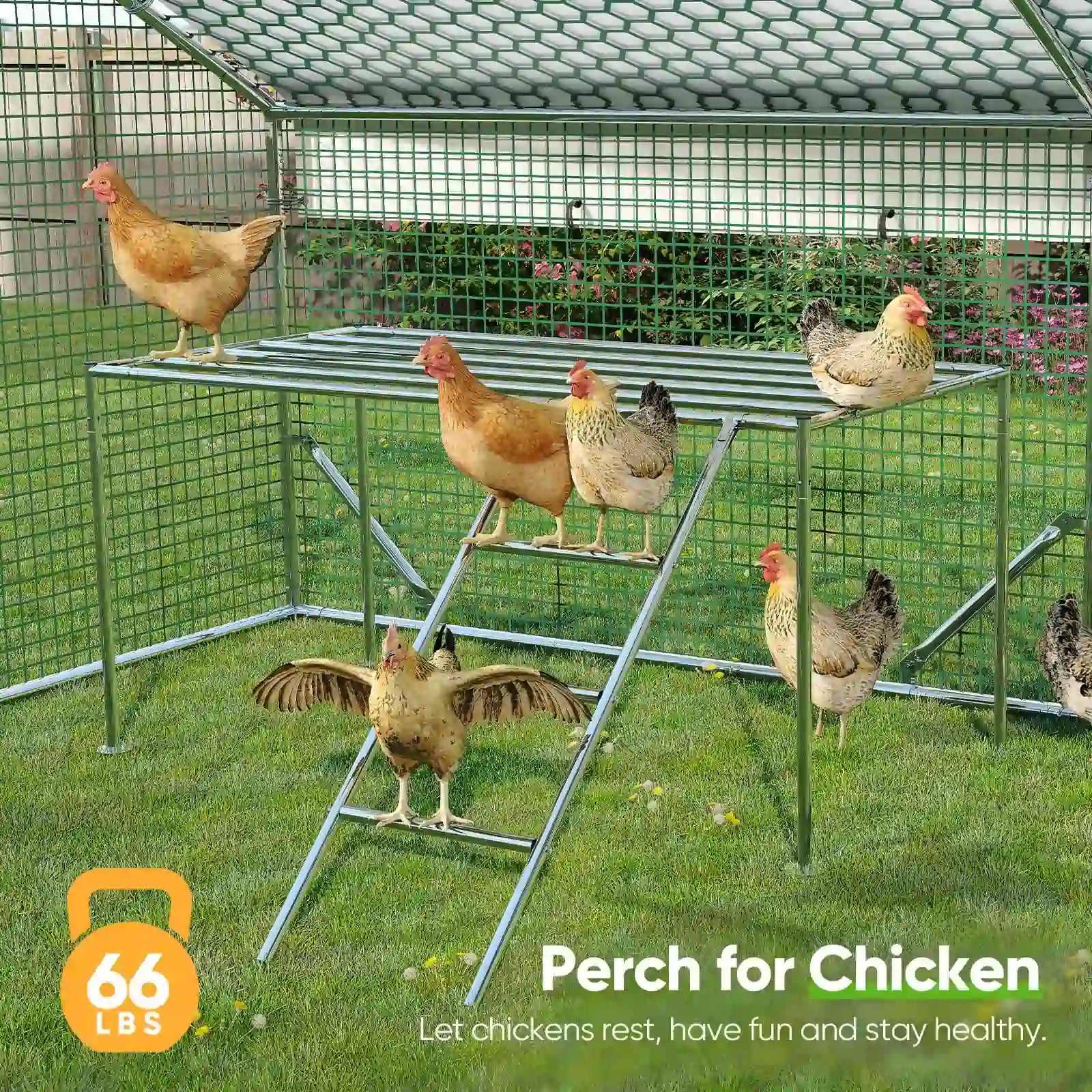 Walk-in Cage Peak Hen House#size_12x9FT with ladder
