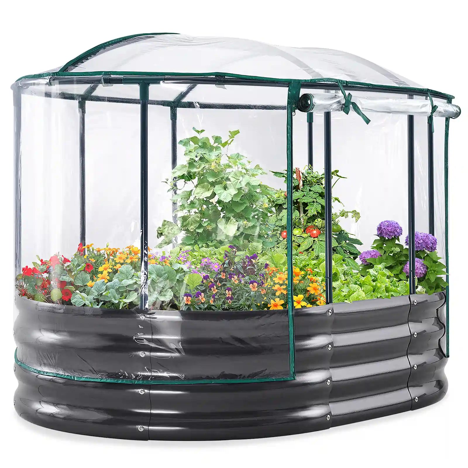 4' x 3' x 1' Oval Galvanized Raised Garden Bed with Cover Clear#color_clear