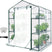 56x56x77 Walk-in Greenhouse clear#color_clear