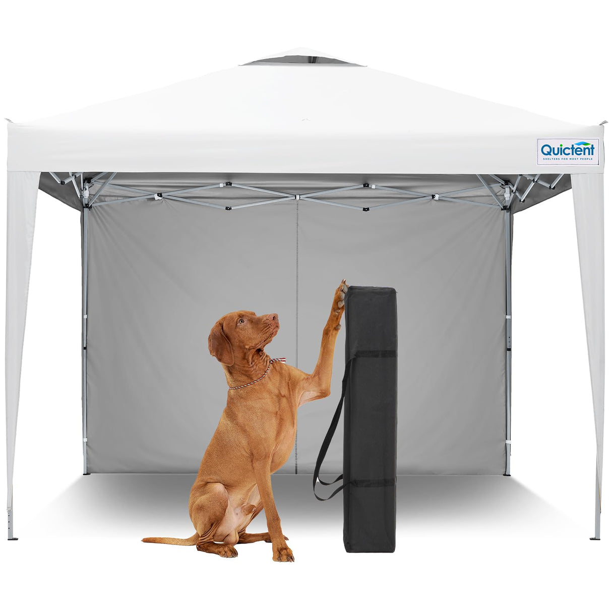 Quictent 10'x10' Pop-Up Canopy with 1 Sidewall