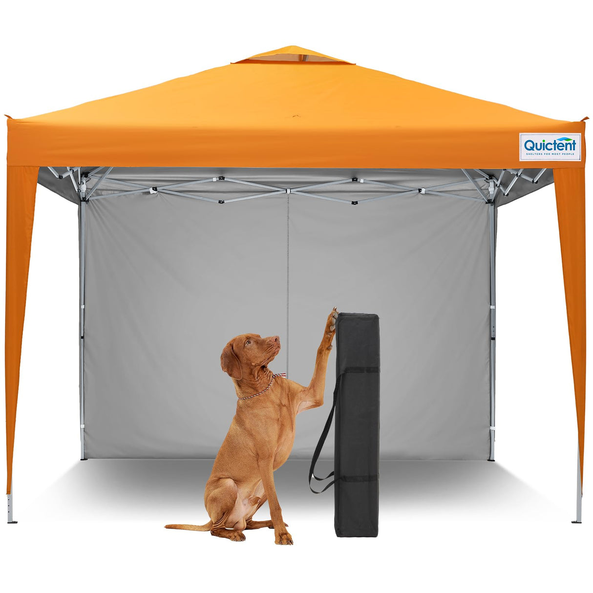 Quictent 10'x10' Pop-Up Canopy with 1 Sidewall
