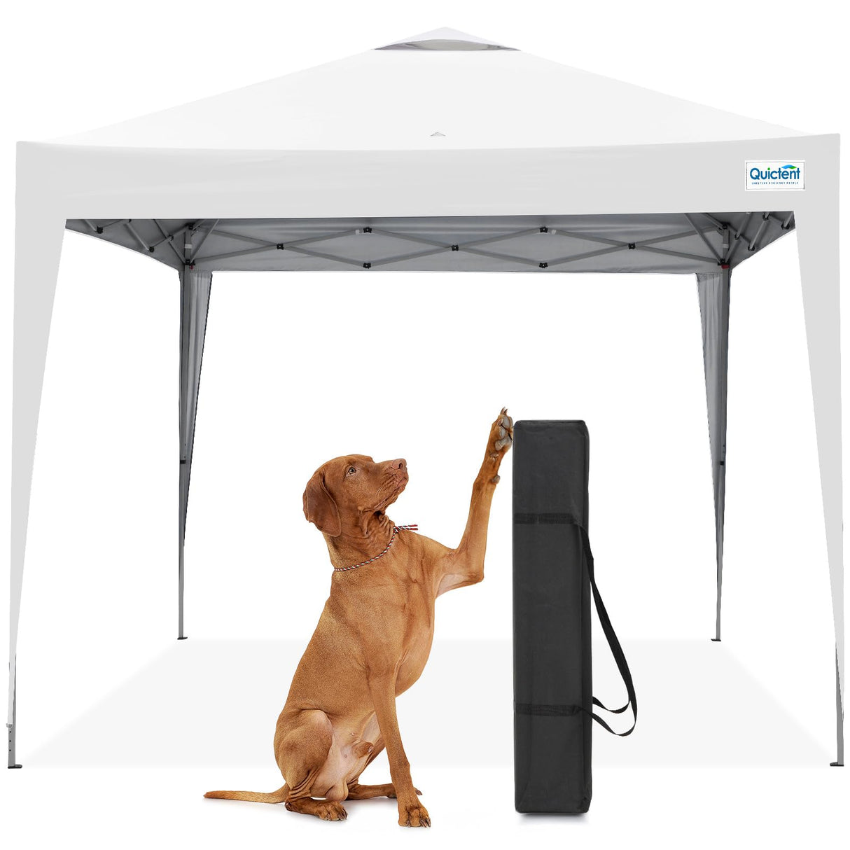 10'x10' Standard Instant Pop Up Canopy - White