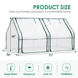 white greenhouse product size#color_white