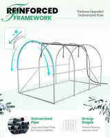 KING BIRD 10'x6.6'x6.6' Greenhouse