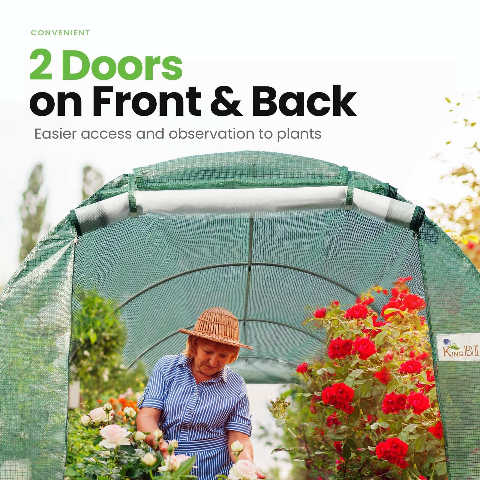 KING BIRD 10'x6.6'x6.6' Walk-in Greenhouse with Vent - Green