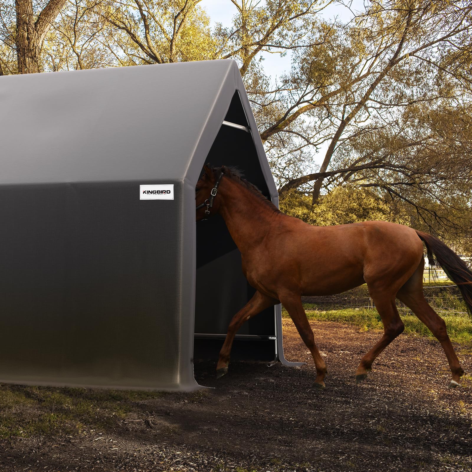 KING BIRD 13'x20'x12' Anti-Snow Carport - Dark Gray