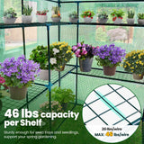 KING BIRD 56"x56"x77" Walk-in Greenhouse with 14 Shelves - Green