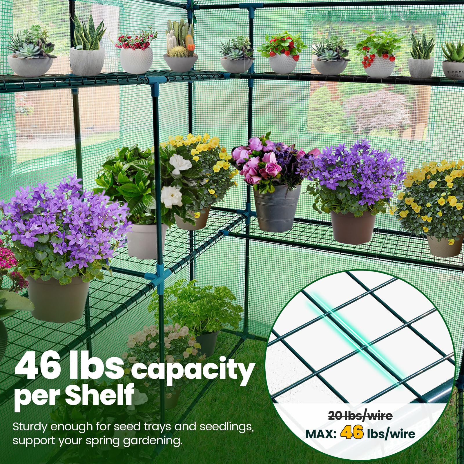 KING BIRD 56"x56"x77" Walk-in Greenhouse with 14 Shelves - Green