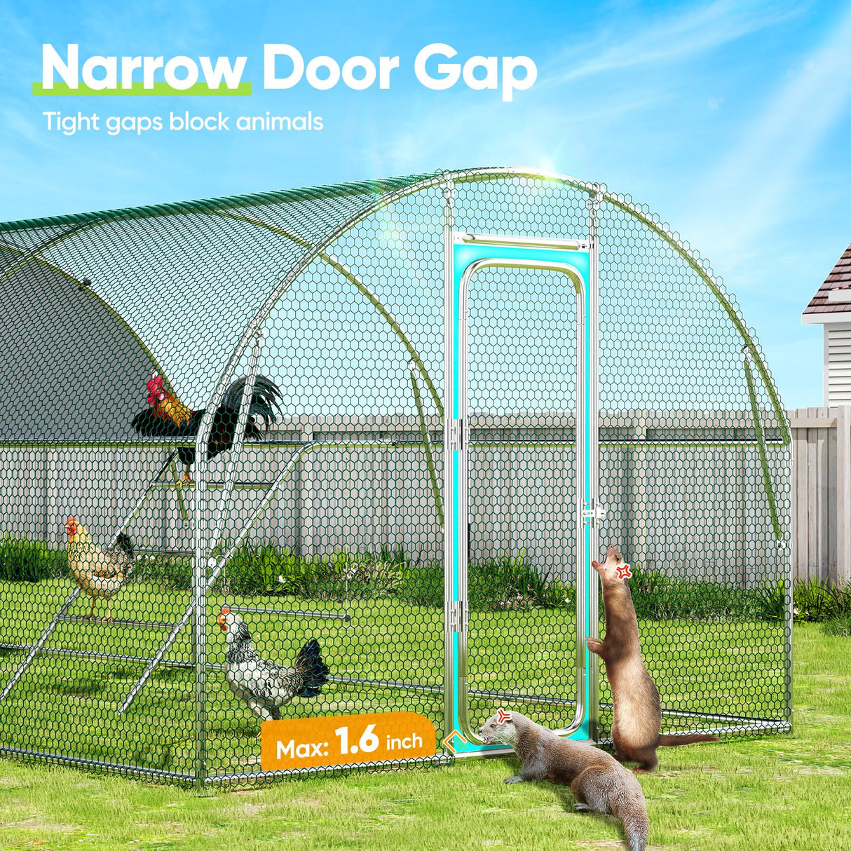 Quictent Arched Metal Chicken Coop with Perch & Swing