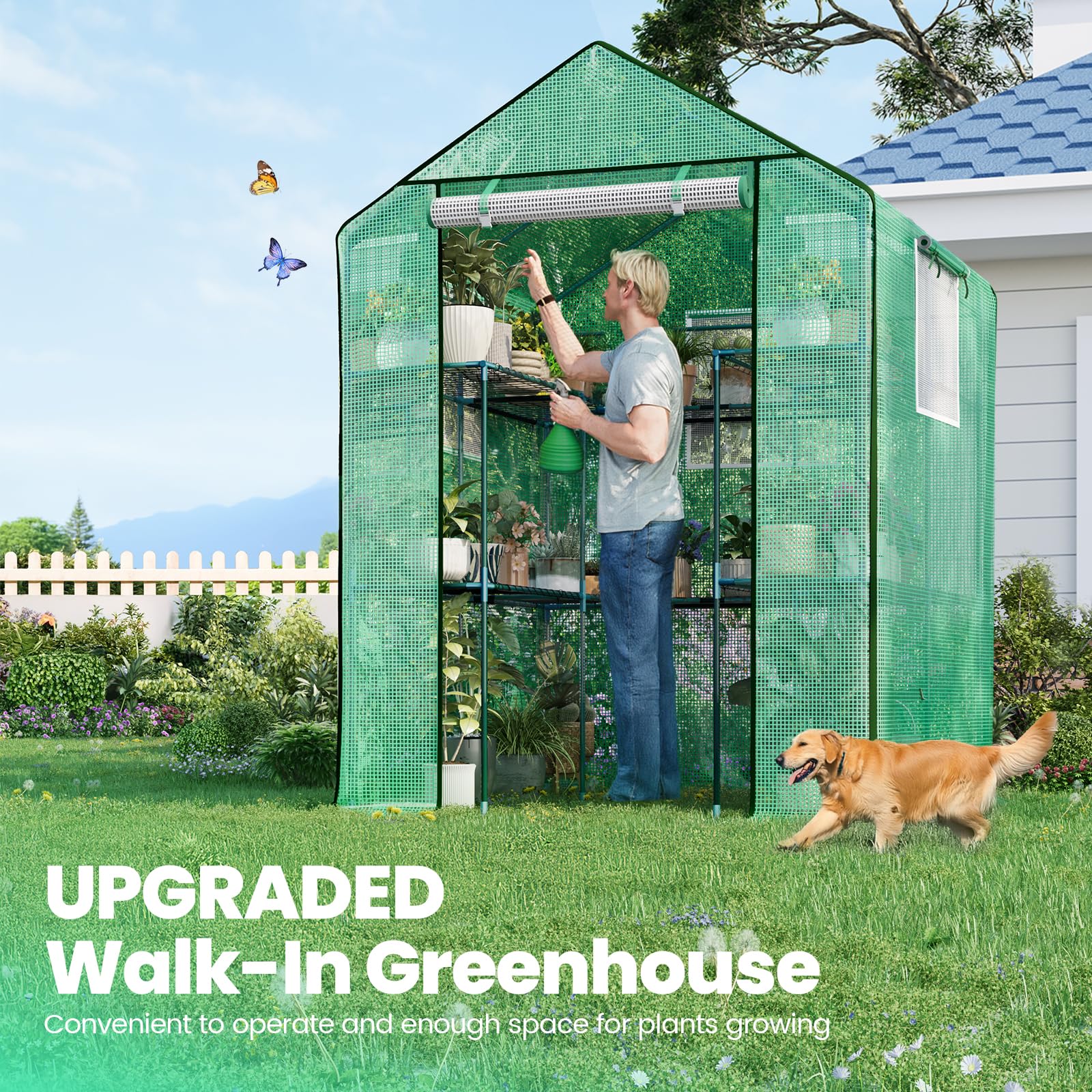 KING BIRD 56"x56"x77" Walk-in Greenhouse with 14 Shelves - Green