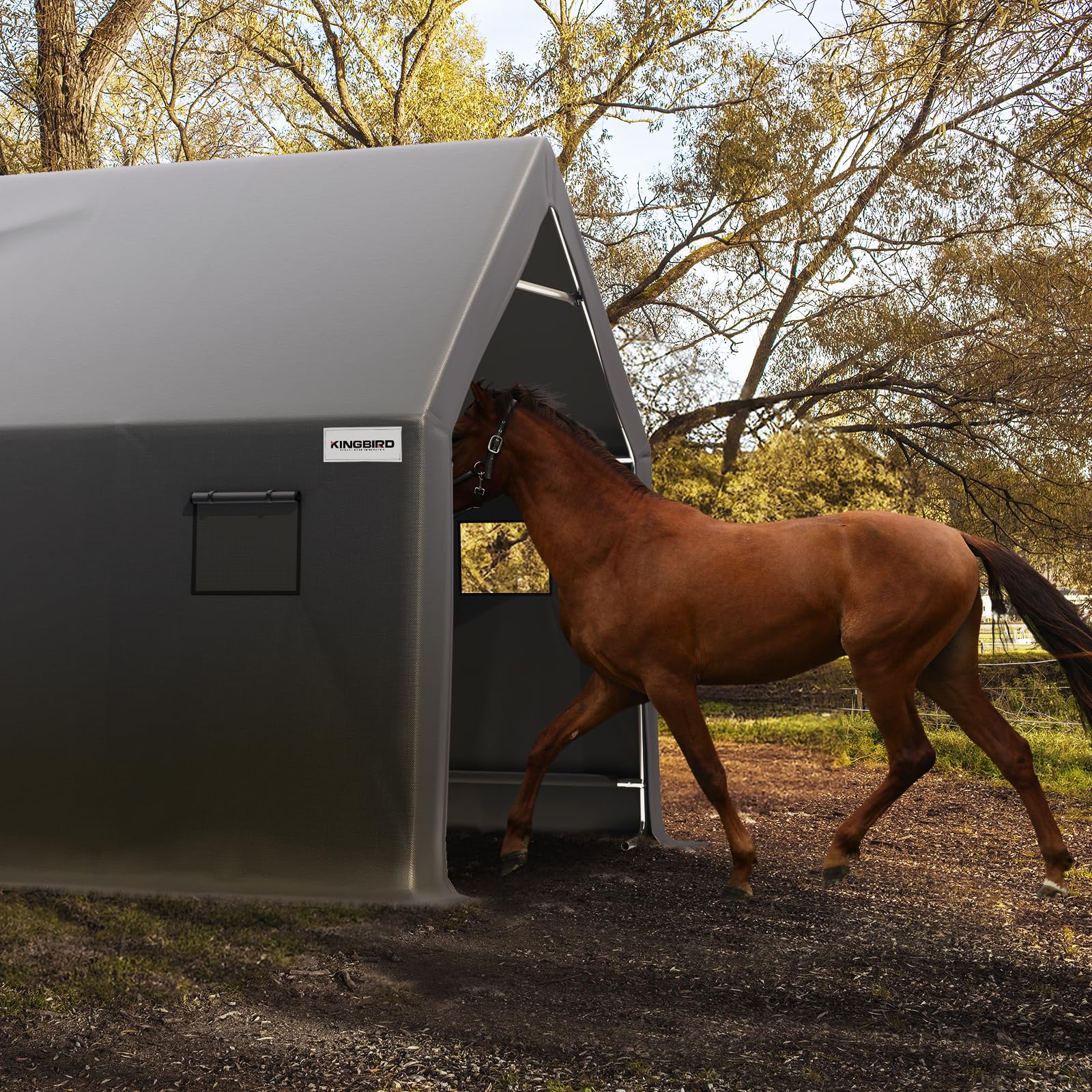 KING BIRD 10'x15'x10.8' Anti-Snow Carport - Dark Gray