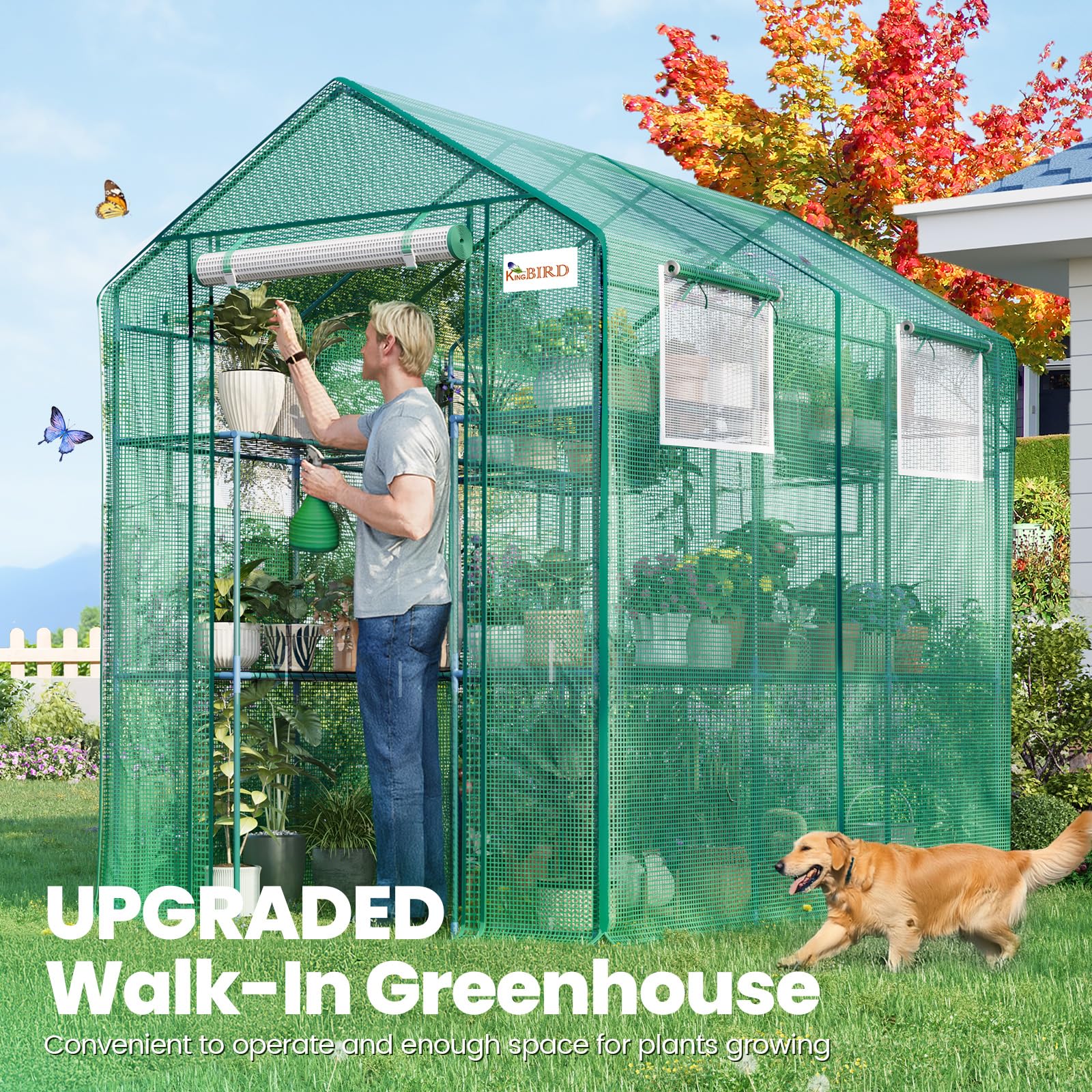 KING BIRD 84"x56"x77' Walk-in Greenhouse with 20 Shelves - Green