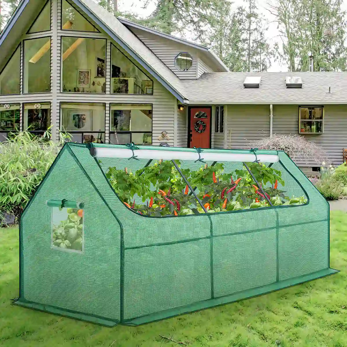 95“x36”x36â€?small greenhouse outdoor#color_green