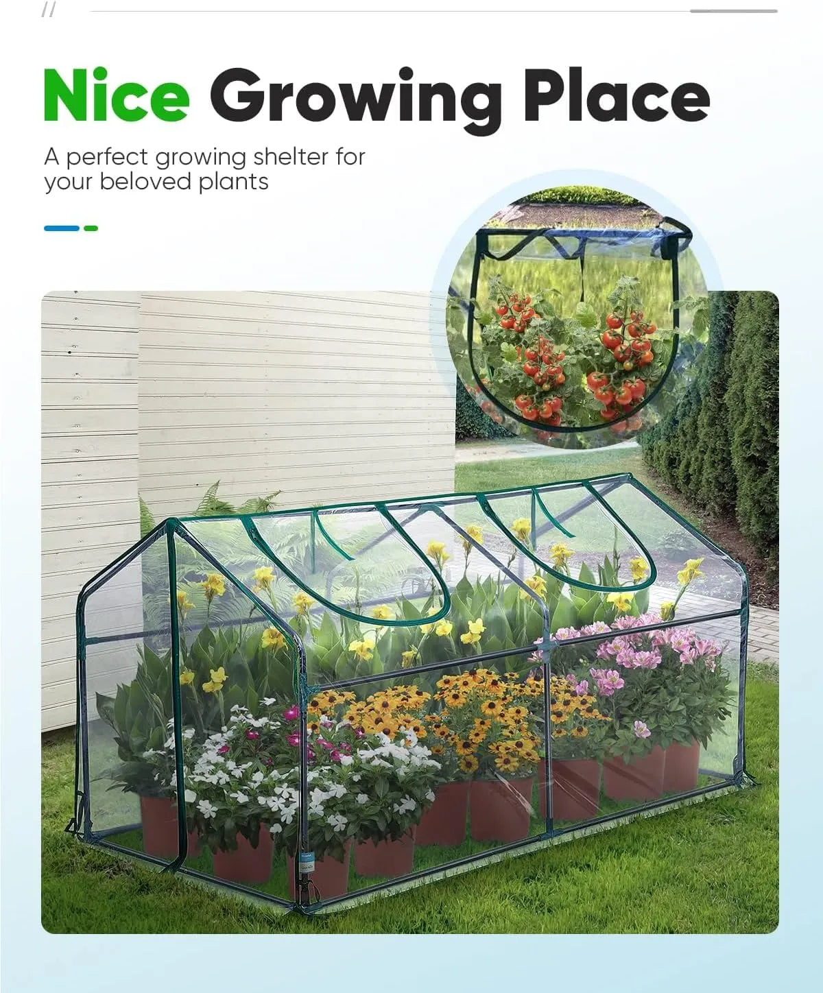convenient straps for clear greenhouse
