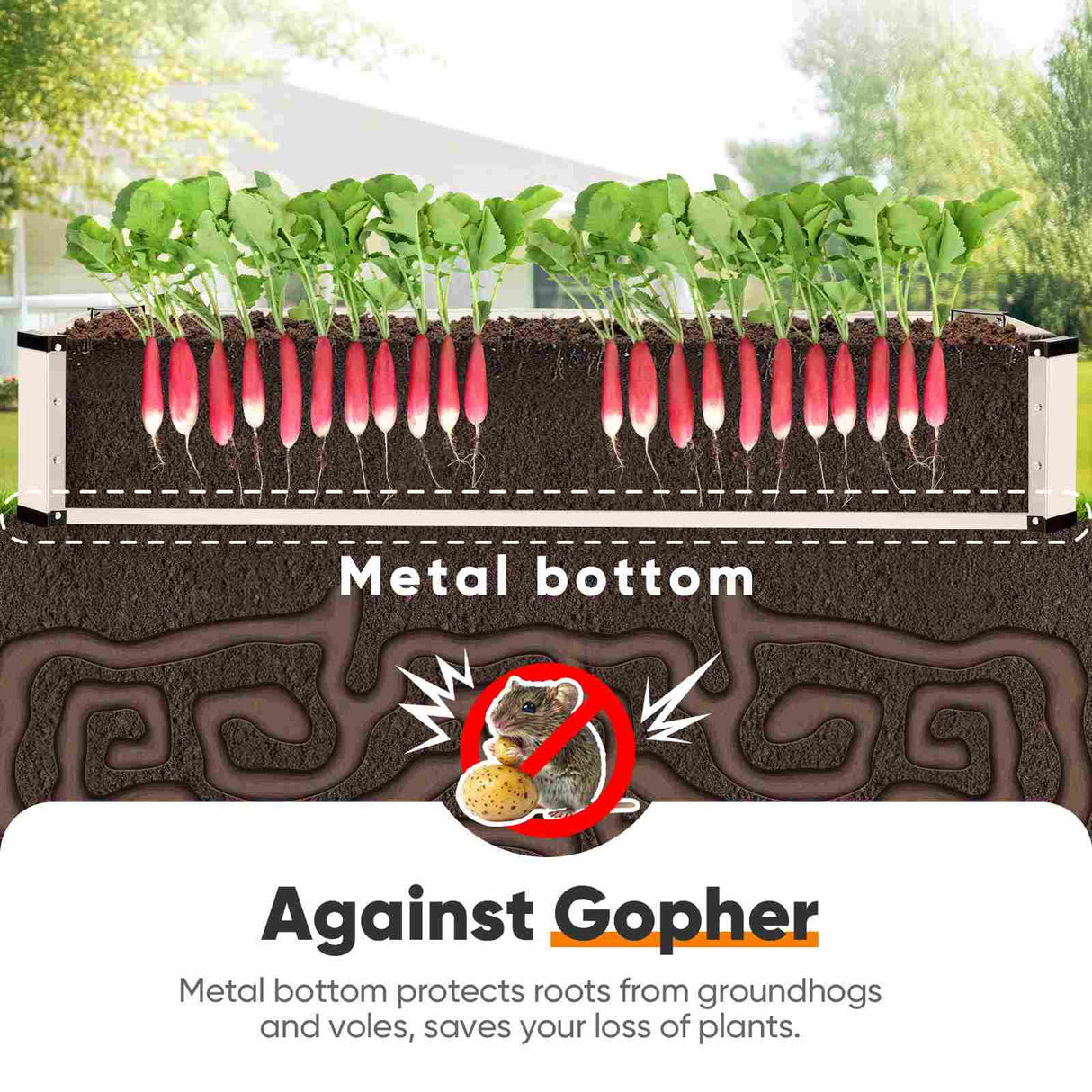 KING BIRD 6x2x1ft Raised Garden Bed with Bottom Closed Beige