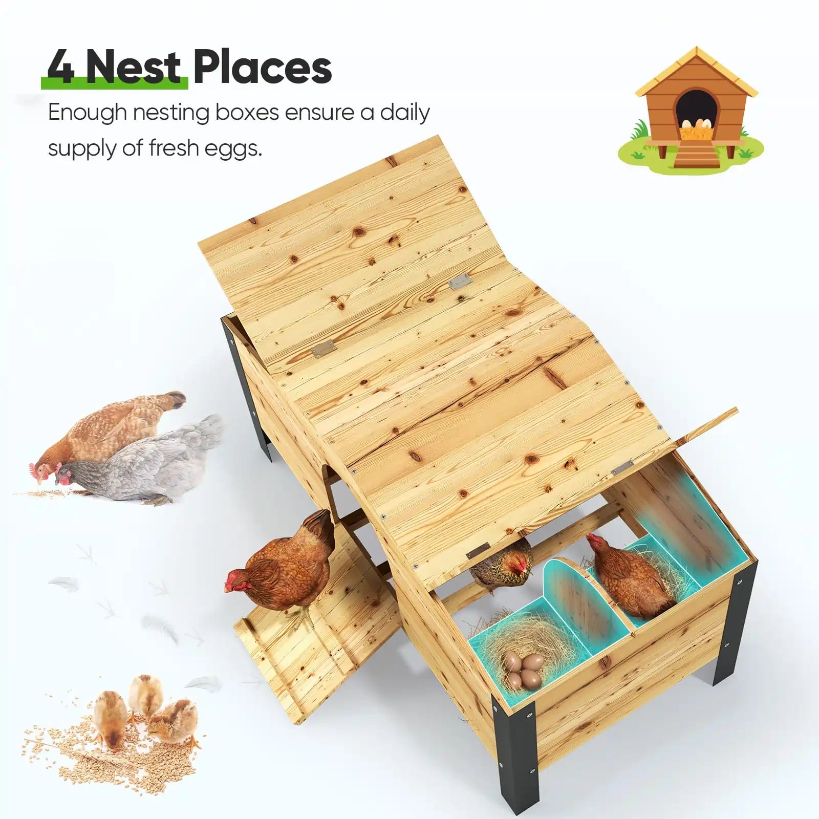 Wooden Nesting Box#size_12x9FT with NestBox
