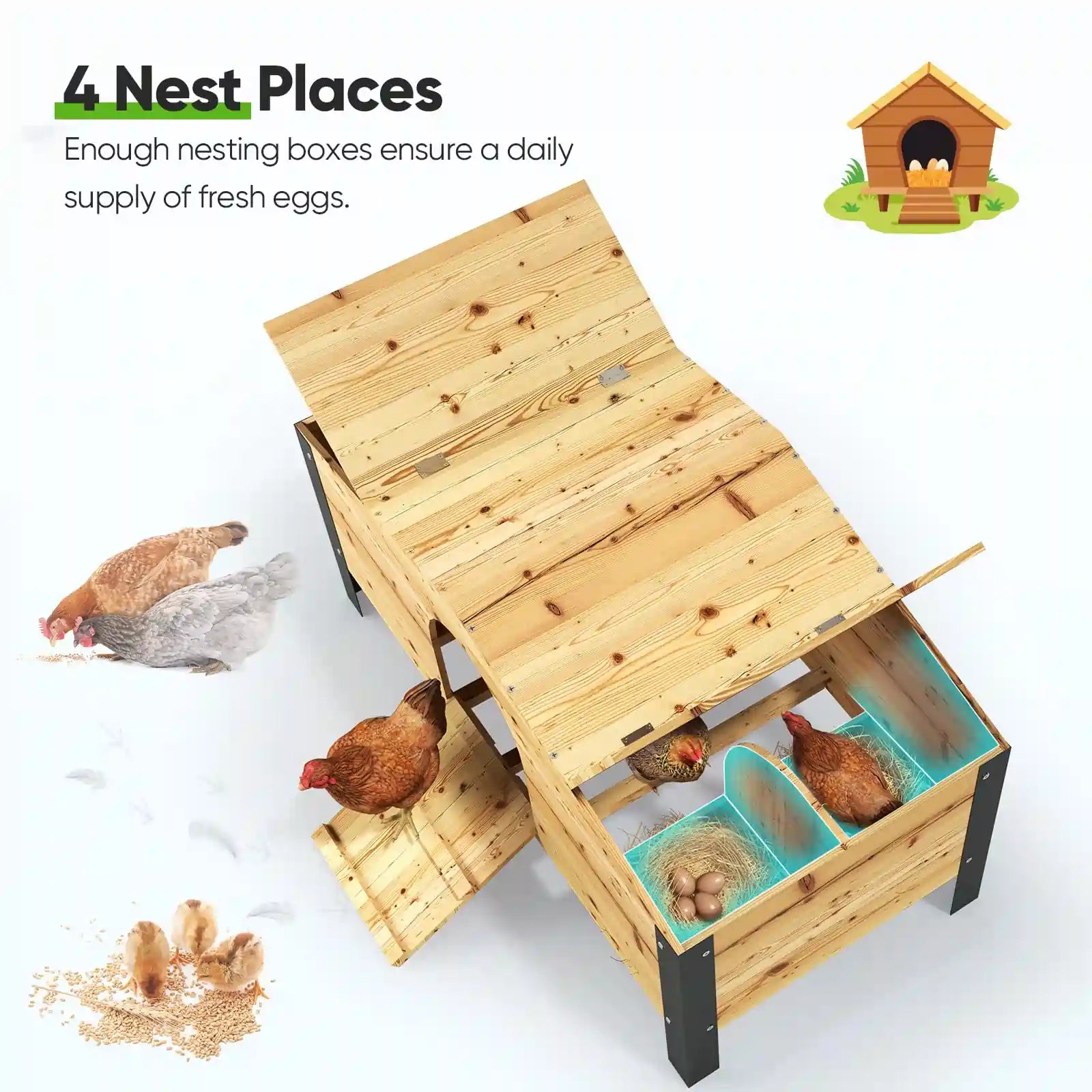  a secure and comfortable Wooden Nesting Box#size_18x9FT with NestBox
