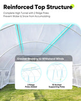 Complete High Tunnel with 2 Ridge Poles#color_white