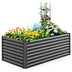 Quictent Raised Garden Bed with Tomato Cage