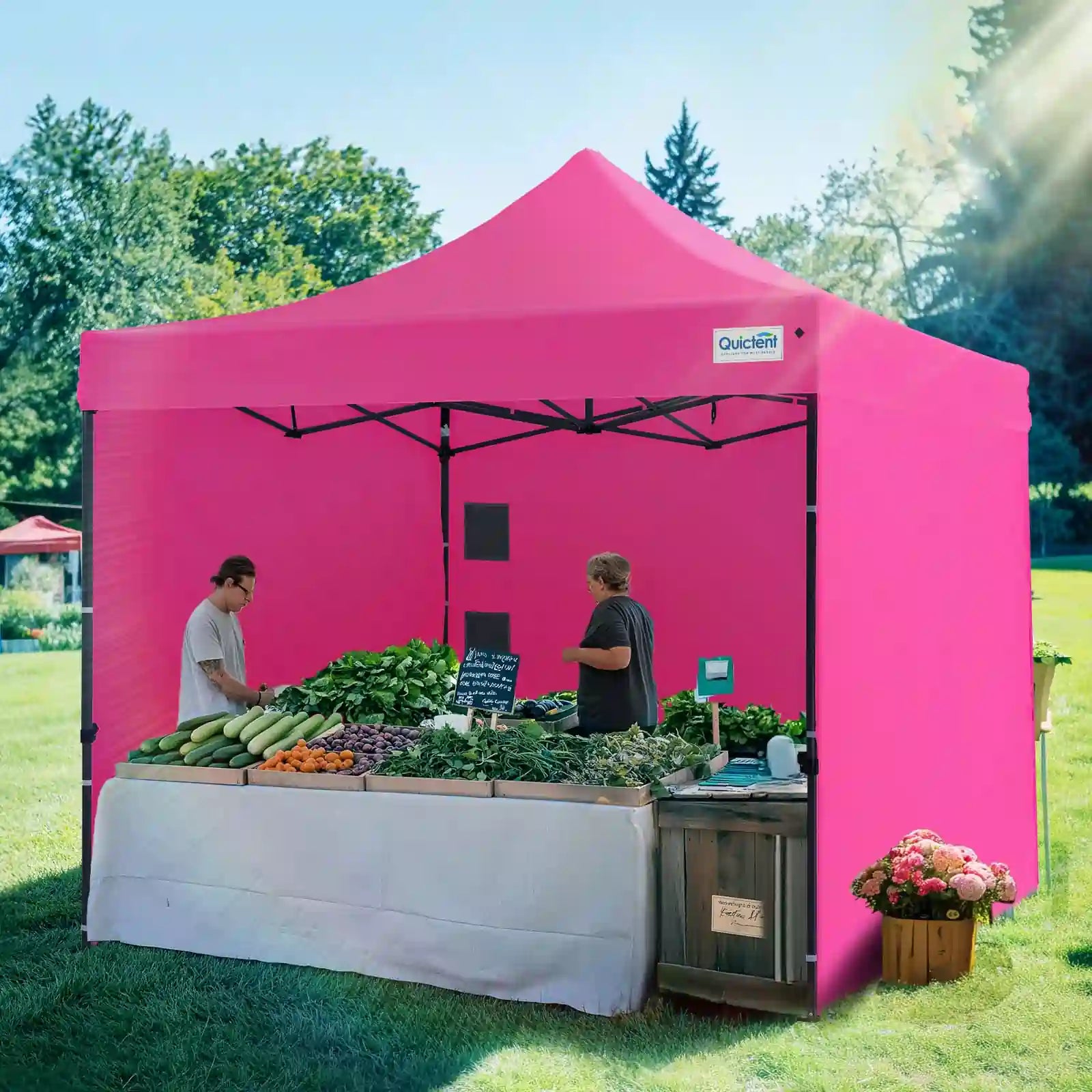 Pop Up Tent 10'x10' Pink with 3 Sidewalls#style_10x10 With 3 Sidewalls-Pink