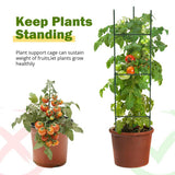 plant support cage#size_4x3x2ft