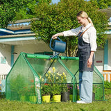 mini greenhouse in backyard#color_green