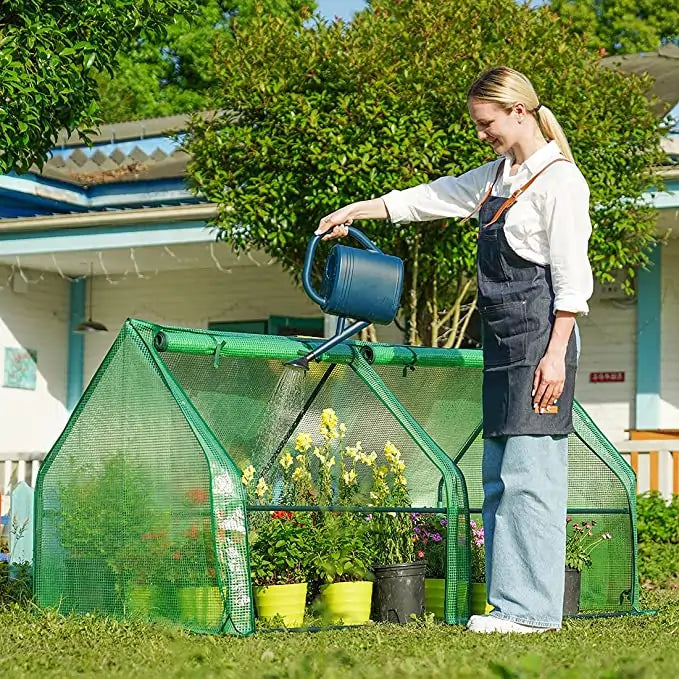 mini greenhouse in backyard#color_green